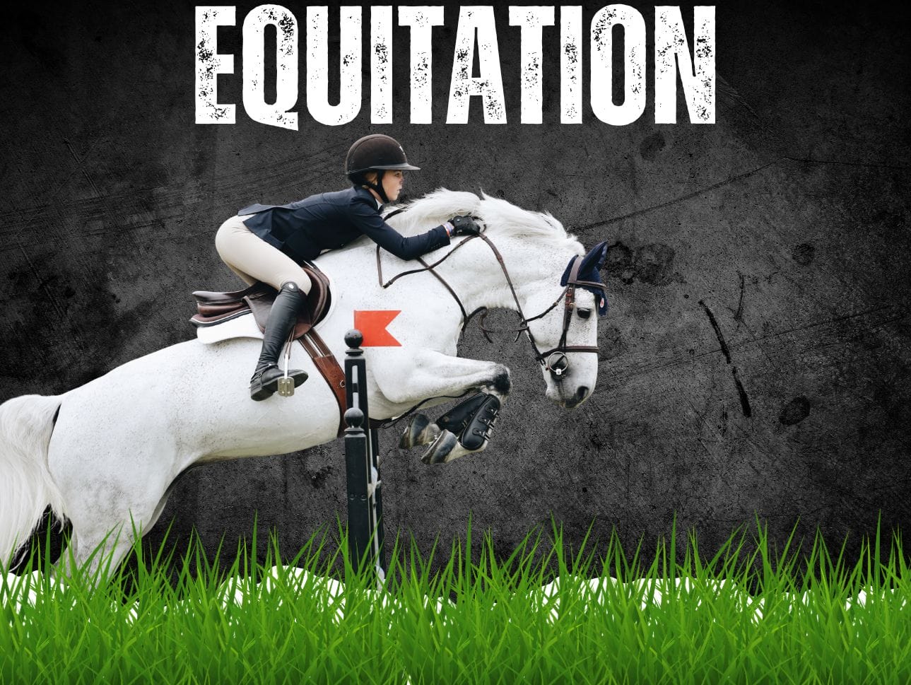 Equitation